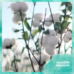 Aqua Wipes 3 Pack 144 Units -Baby Shower Store dodot aqua wipes 3 pack 144 units 6