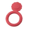 Lion Teether